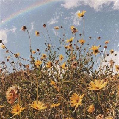 麻将胡了appapp下载截图