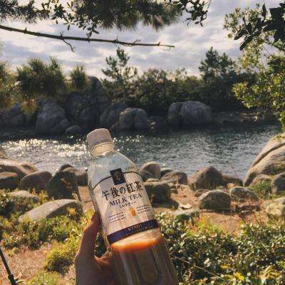 365体育手机版app下载